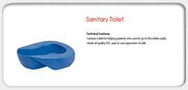 Sanitary Toilet