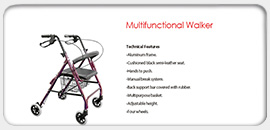 Multifunctional Walker